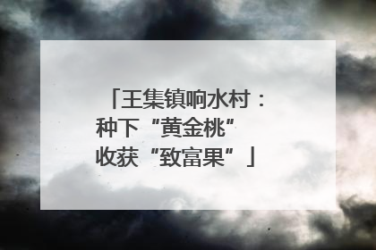 王集镇响水村：种下“黄金桃” 收获“致富果”