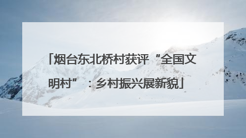 烟台东北桥村获评“全国文明村”：乡村振兴展新貌