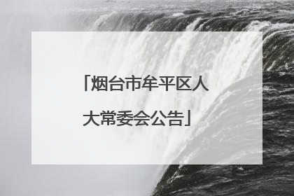 烟台市牟平区人大常委会公告