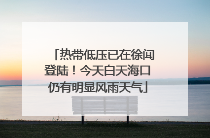 热带低压已在徐闻登陆！今天白天海口仍有明显风雨天气