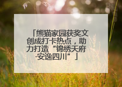 熊猫家园获奖文创成打卡热点，助力打造“锦绣天府·安逸四川”