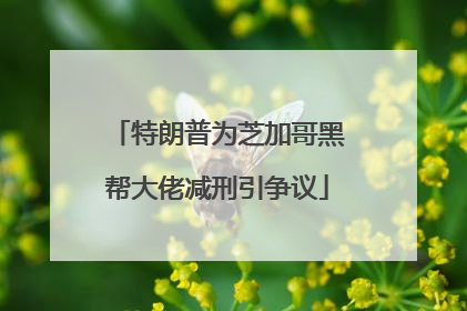 特朗普为芝加哥黑帮大佬减刑引争议