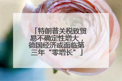 特朗普关税致贸易不确定性增大，德国经济或面临第三年“零增长”