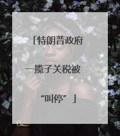 特朗普政府一揽子关税被“叫停”
