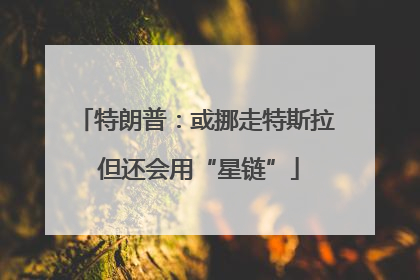 特朗普：或挪走特斯拉 但还会用“星链”
