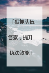 狠抓队伍督察，提升执法效能