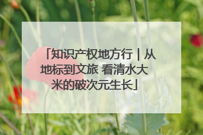 知识产权地方行｜从地标到文旅 看清水大米的破次元生长