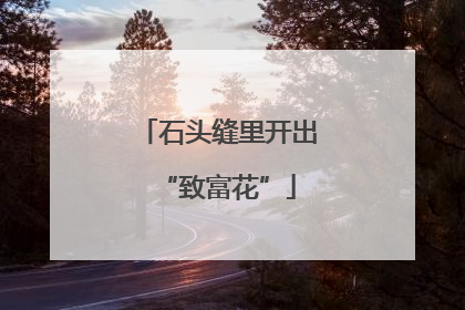 石头缝里开出“致富花”