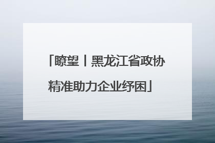 瞭望丨黑龙江省政协精准助力企业纾困