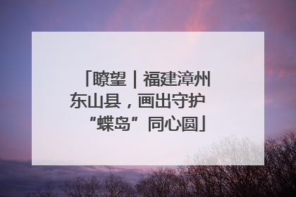 瞭望｜福建漳州东山县，画出守护“蝶岛”同心圆