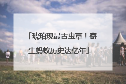 琥珀现最古虫草！寄生蚂蚁历史达亿年