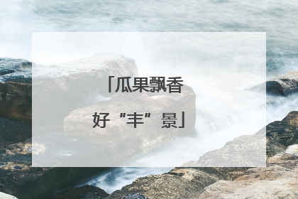 瓜果飘香 好“丰”景