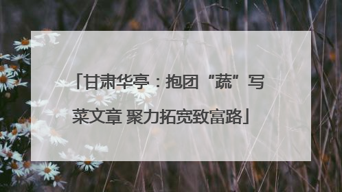 甘肃华亭：抱团“蔬”写菜文章 聚力拓宽致富路