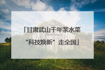 甘肃武山千年浆水菜“科技焕新”走全国