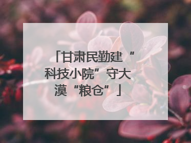 甘肃民勤建“科技小院”守大漠“粮仓”