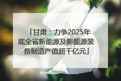 甘肃：力争2025年底全省新能源及新能源装备制造产值超千亿元