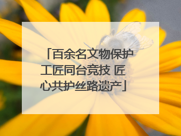 百余名文物保护工匠同台竞技 匠心共护丝路遗产