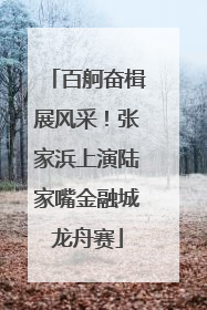 百舸奋楫展风采！张家浜上演陆家嘴金融城龙舟赛