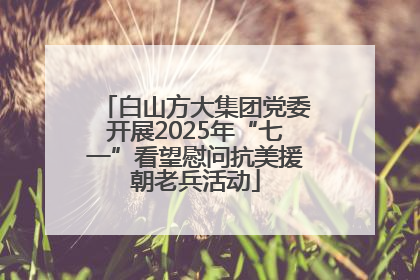 白山方大集团党委开展2025年“七一”看望慰问抗美援朝老兵活动