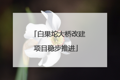 白果坨大桥改建项目稳步推进