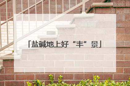 盐碱地上好“丰”景
