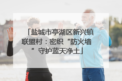 盐城市亭湖区新兴镇联盟村：密织“防火墙”守护蓝天净土