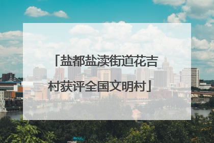 盐都盐渎街道花吉村获评全国文明村