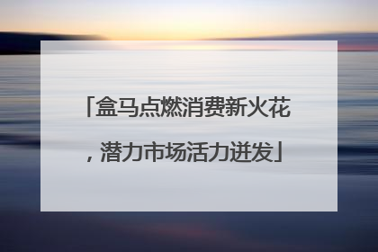 盒马点燃消费新火花，潜力市场活力迸发