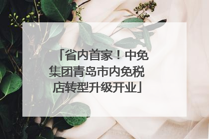 省内首家！中免集团青岛市内免税店转型升级开业