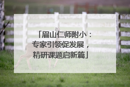 眉山仁师附小：专家引领促发展，精研课题启新篇