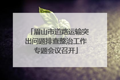 眉山市道路运输突出问题排查整治工作专题会议召开