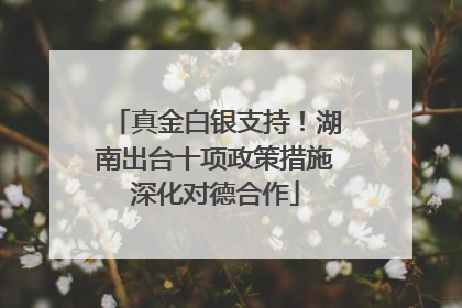 真金白银支持！湖南出台十项政策措施深化对德合作