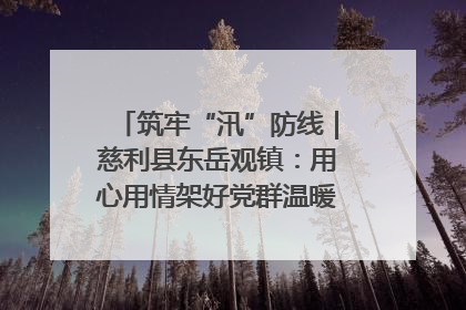 筑牢“汛”防线｜慈利县东岳观镇：用心用情架好党群温暖悠长的“连心桥”