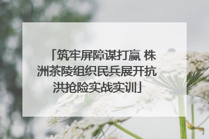 筑牢屏障谋打赢 株洲茶陵组织民兵展开抗洪抢险实战实训