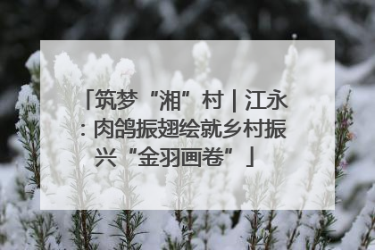 筑梦“湘”村｜江永：肉鸽振翅绘就乡村振兴“金羽画卷”