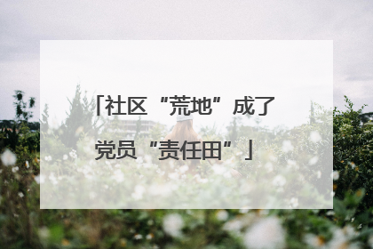 社区“荒地”成了党员“责任田”