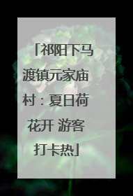 祁阳下马渡镇元家庙村:夏日荷花开 游客打卡热