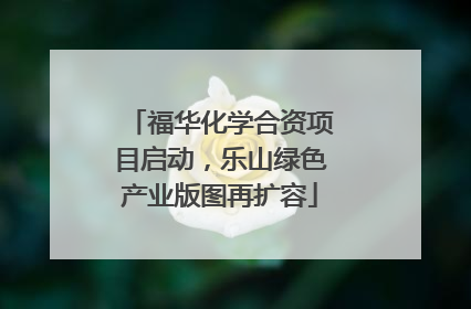 福华化学合资项目启动，乐山绿色产业版图再扩容