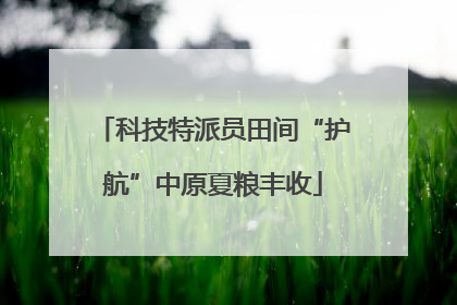 科技特派员田间“护航”中原夏粮丰收