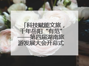 科技赋能文旅，千年岳阳“有范”——第四届湖南旅游发展大会开幕式暨文化旅游推介会侧记