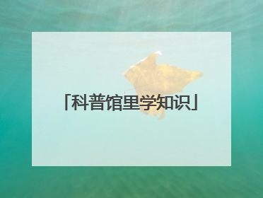科普馆里学知识