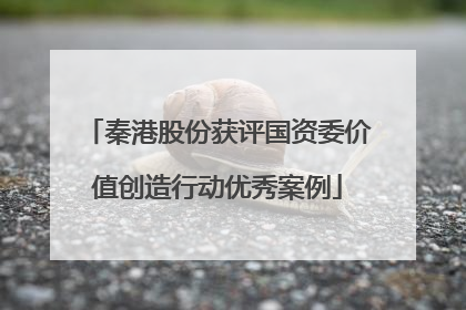 秦港股份获评国资委价值创造行动优秀案例