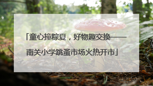 童心撞粽夏，好物趣交换——南关小学跳蚤市场火热开市