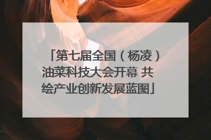 第七届全国（杨凌）油菜科技大会开幕 共绘产业创新发展蓝图