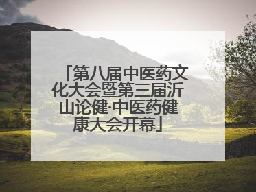 第八届中医药文化大会暨第三届沂山论健·中医药健康大会开幕