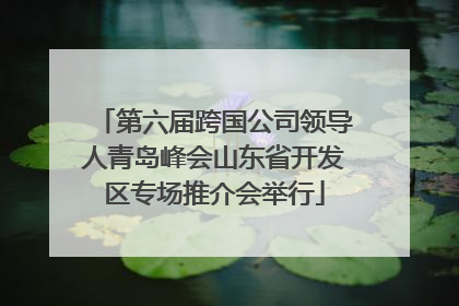 第六届跨国公司领导人青岛峰会山东省开发区专场推介会举行