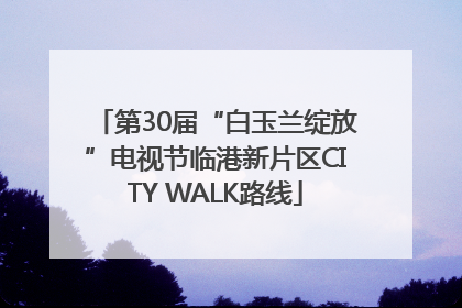第30届“白玉兰绽放”电视节临港新片区CITY WALK路线