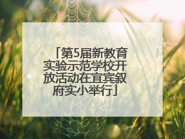 第5届新教育实验示范学校开放活动在宜宾叙府实小举行