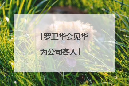 罗卫华会见华为公司客人