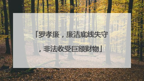 罗孝廉，廉洁底线失守，非法收受巨额财物